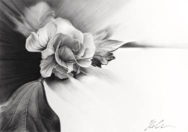 Original Floral Drawing by Hristina-Heli Stoycheva