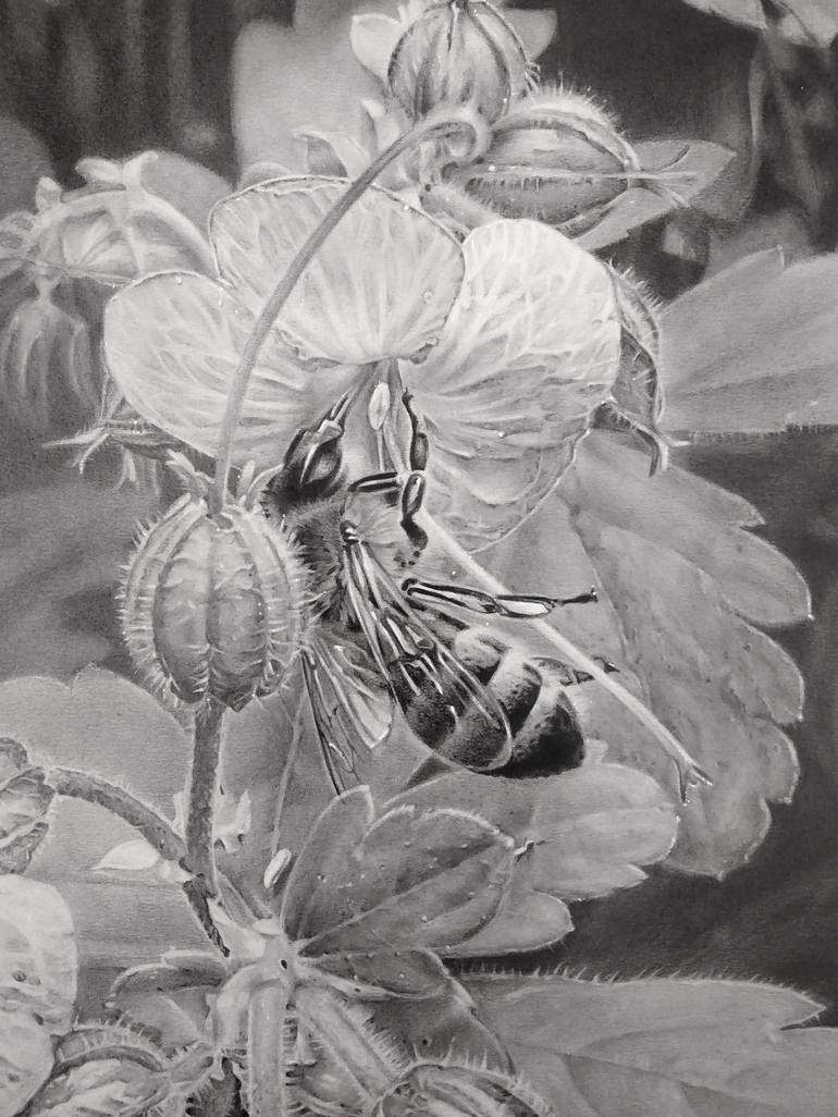 Original Photorealism Nature Drawing by Hristina-Heli Stoycheva