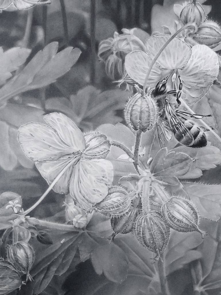 Original Photorealism Nature Drawing by Hristina-Heli Stoycheva