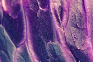 Print of Abstract Food Photography by Eva Bane