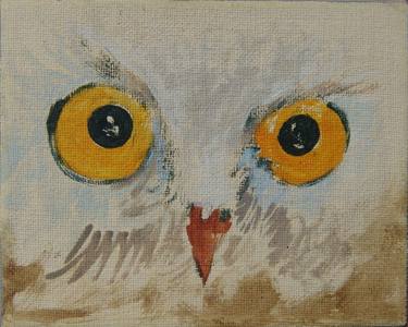 Owl IV thumb