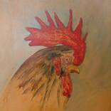 Rooster by Milinko Kokovic
