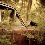 car by Brent Nelson