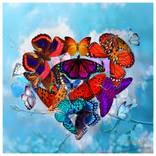 Butterfly Love by Christopher Brown