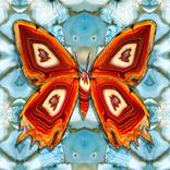 Collection Landscape Visions: The Other Art Fair Dallas 2025