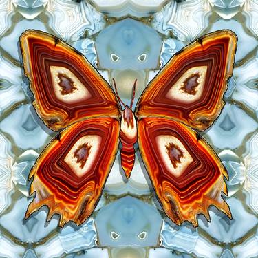 Original Abstract Animal Photography by Christopher Brown