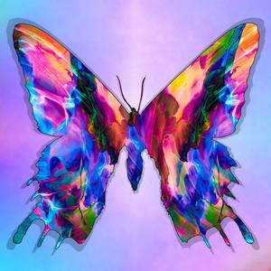 Abstract Liquid Butterfly