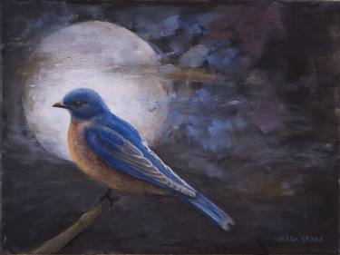 Eastern Bluebird in Moonlight thumb