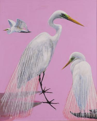 Three Great White Egrets in Pink thumb