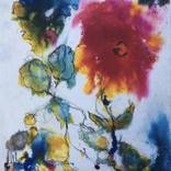 Collection Watercolors