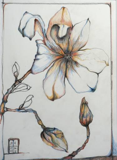 Print of Floral Drawings by Mr Marian Hergouth