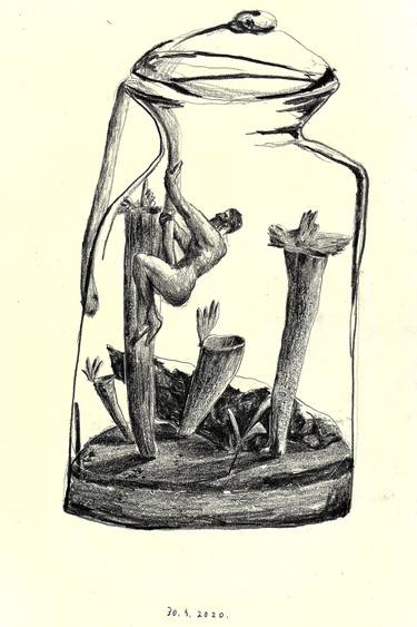 Print of Botanic Drawings by Davor Dmitrovic