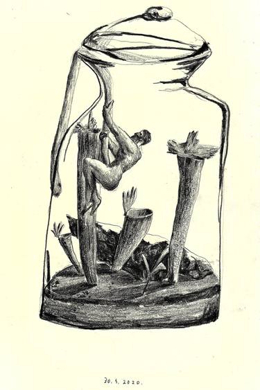 Print of Figurative Botanic Drawings by Davor Dmitrovic