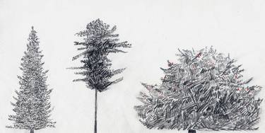 Original Botanic Drawings by Andreja Petrakovic