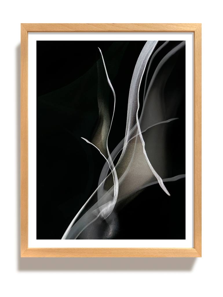 Original Abstract Expressionism Abstract Photography by Salva Nebot