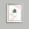Potted Aloe Vera in frame 