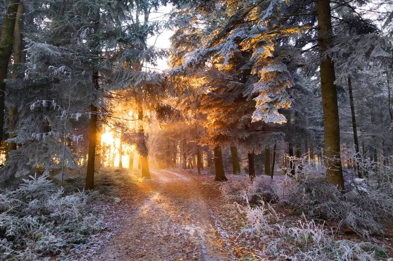 View in a Room Artwork