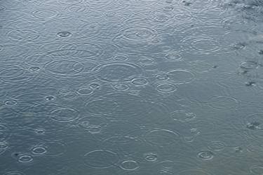 Print of Photorealism Nature Photography by Walter Weinberg