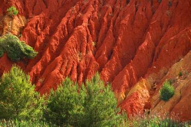 Print of Photorealism Nature Photography by Walter Weinberg