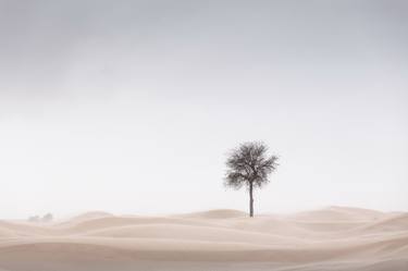 Original Abstract Landscape Photography by Anthony Lamb