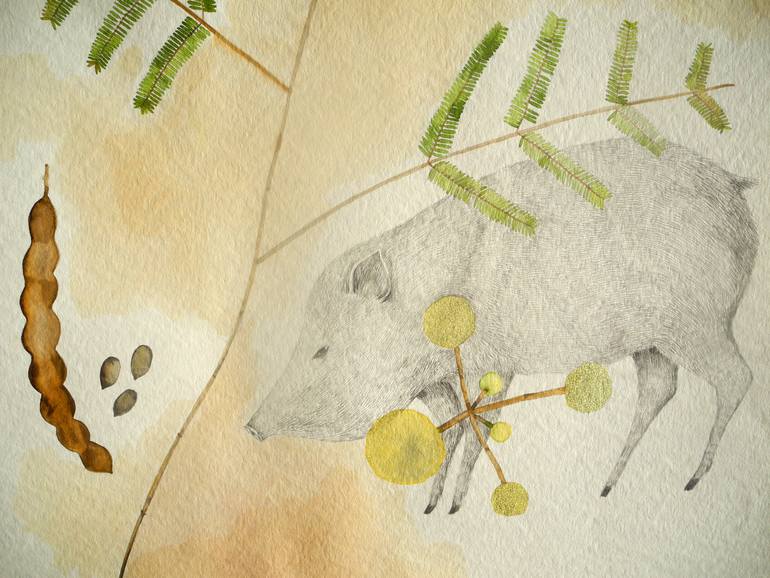 Original Figurative Botanic Drawing by Irene Singer