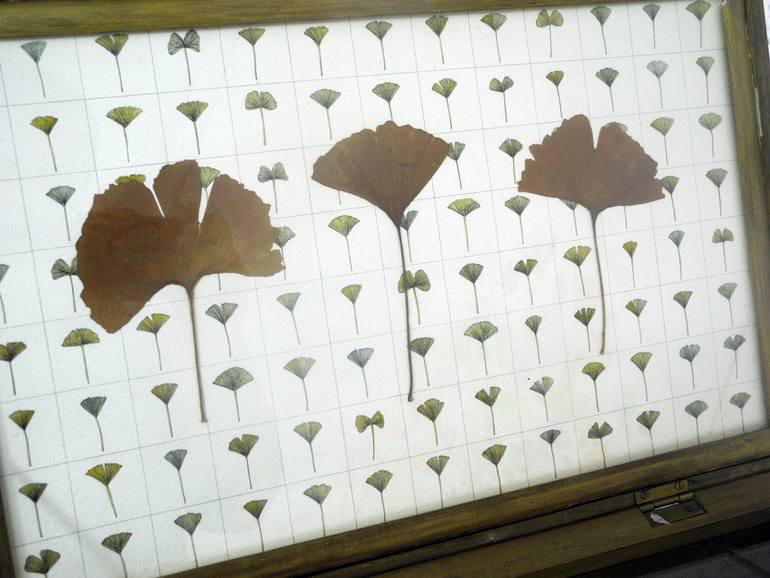 Original Conceptual Botanic Sculpture by Irene Singer