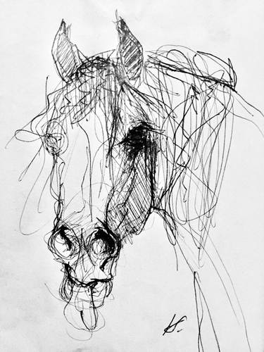 Original Abstract Expressionism Horse Drawing by Katarzyna Stefaniak-Poloczek