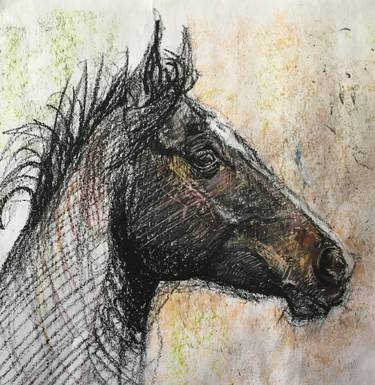 Original Expressionism Horse Drawing by Katarzyna Stefaniak-Poloczek