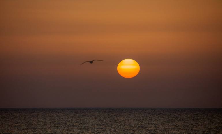 Original Seascape Photography by Glen Sweeney | Other Art on Paper | Into the Sun