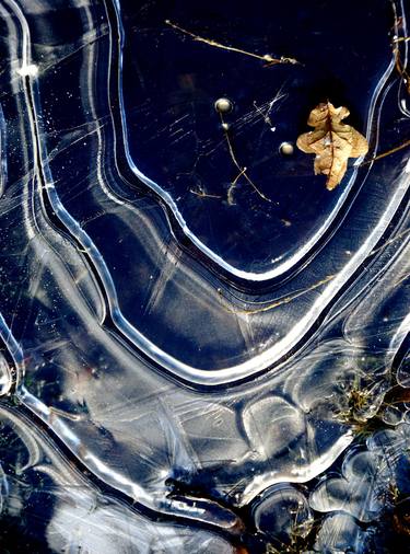 Original Abstract Seasons Photography by Glen Sweeney