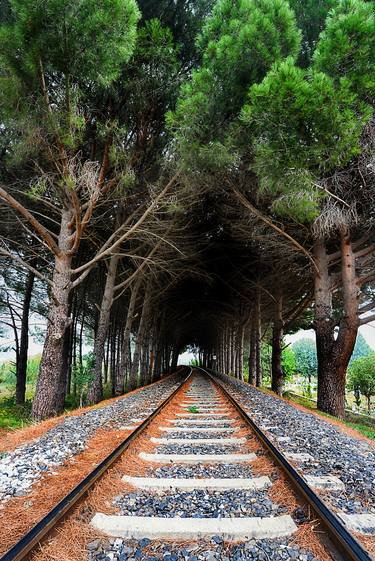 Print of Train Photography by Yavuz ILDIZ