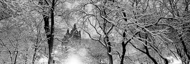 Snowstorm, Central Park, 4917 - Limited Edition of 20 thumb