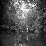 Head First, Endau Ronpin, Malaysia - Limited Edition of 30 by Nicolas AUVRAY