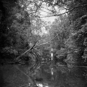 Head First, Endau Rampin, Malaysia - Limited Edition of 19