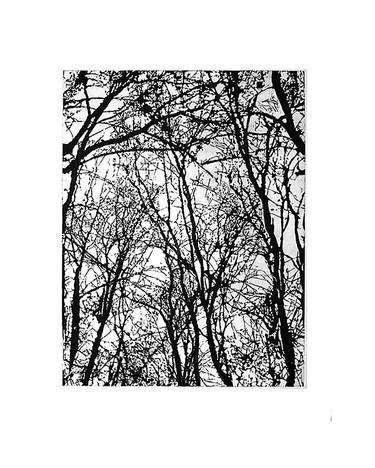 Print of Abstract Tree Printmaking by Ivana Stankovic