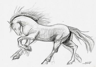Print of Fine Art Horse Drawings by Liz H Lovell