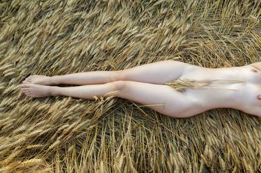 The beautiful girl laying in a wheat field thumb