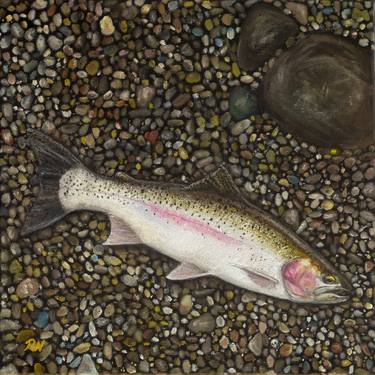 Print of Fine Art Fish Paintings by Roger Nilsson