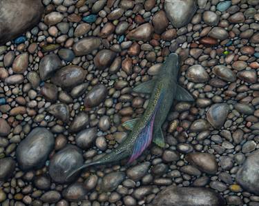 Print of Fine Art Fish Paintings by Roger Nilsson