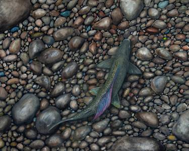 Print of Fish Paintings by Roger Nilsson