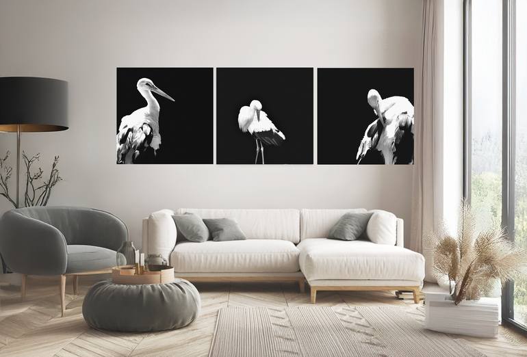 Original Black & White Animal Photography by Olga Ibadullayeva