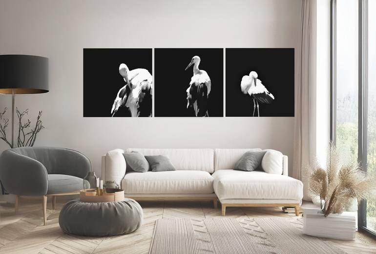 Original Black & White Animal Photography by Olga Ibadullayeva