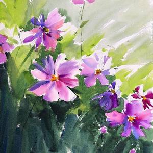 Collection Floral (watercolour)