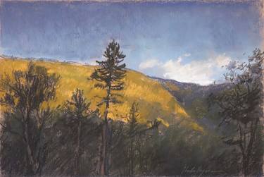 Original Landscape Pastel Drawings For Sale | Saatchi Art