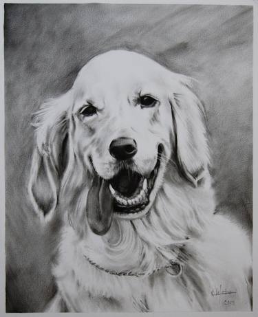 Original Portraiture Dogs Drawings by Valentin Gutu