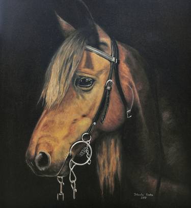 Print of Photorealism Horse Paintings by Jolanta Oczko
