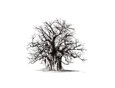 Original Tree Drawing by Jenny Mallon
