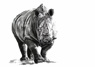 Print of Fine Art Animal Drawings by Jenny Mallon