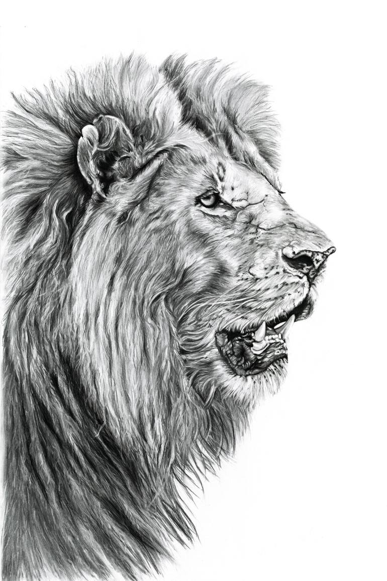 Realistic pencil drawing of a lion on Craiyon-saigonsouth.com.vn