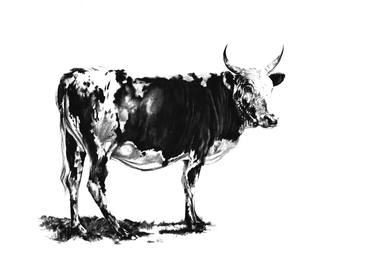 Print of Fine Art Cows Drawings by Jenny Mallon